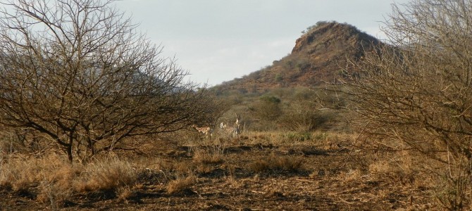 PLAN A TRIP TO THE BEDROCK OF CULTURE&CONSERVATION!! PLAN A TRIP TO THE BEDROCK OF CULTURE&CONSERVATION!!
