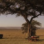 BUSH BREAKFAST